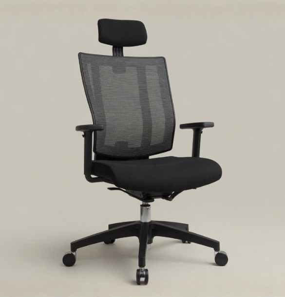 Promax with Headrest Consumer BAFCO