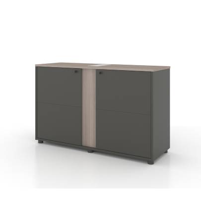Universal 2-Level Printer Cabinet (Meteor Grey Body)
