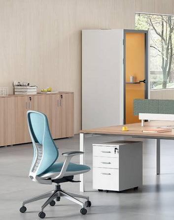 Cadi 2-Level Swing Door Cabinet Consumer KANO   