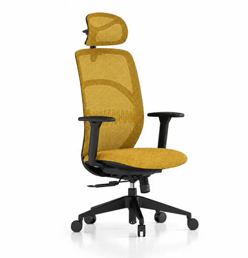 Chelsea Five Highback Consumer KANO