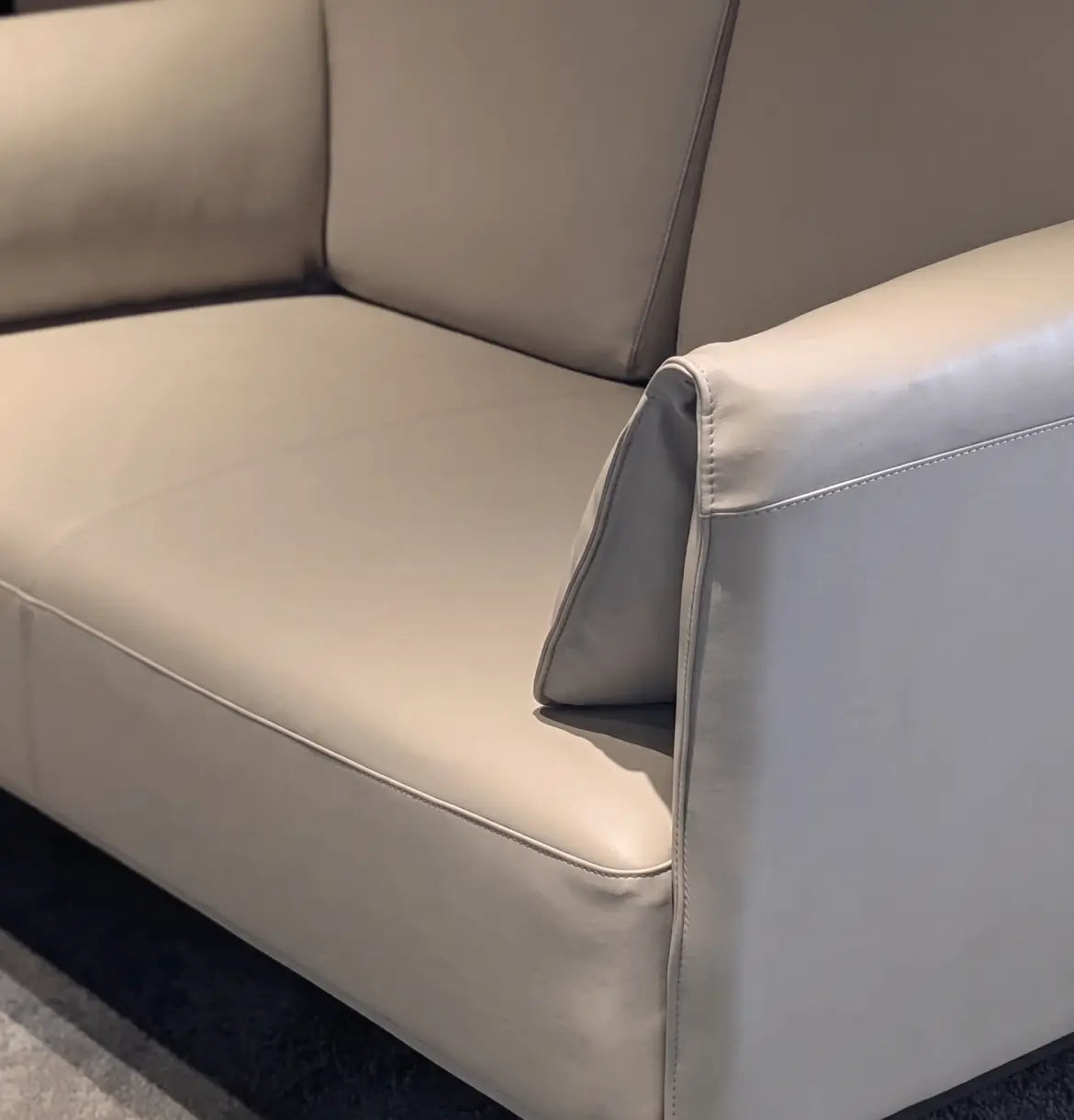 Desun 2-Seater Sofa Consumer KANO