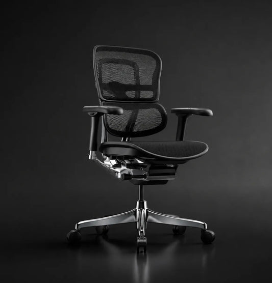 Ergohuman 2 Elite Midback Consumer Comfort