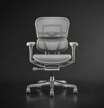 Ergohuman 2 Elite Midback in Grey Frame Consumer Comfort   