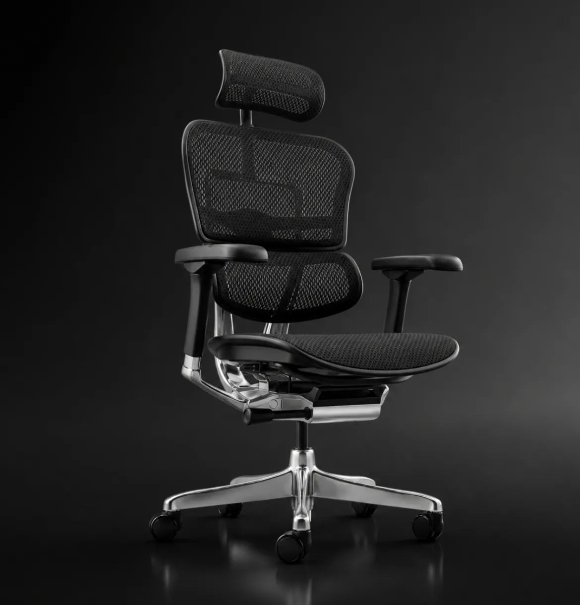 Ergohuman 2 Elite Highback Consumer Comfort