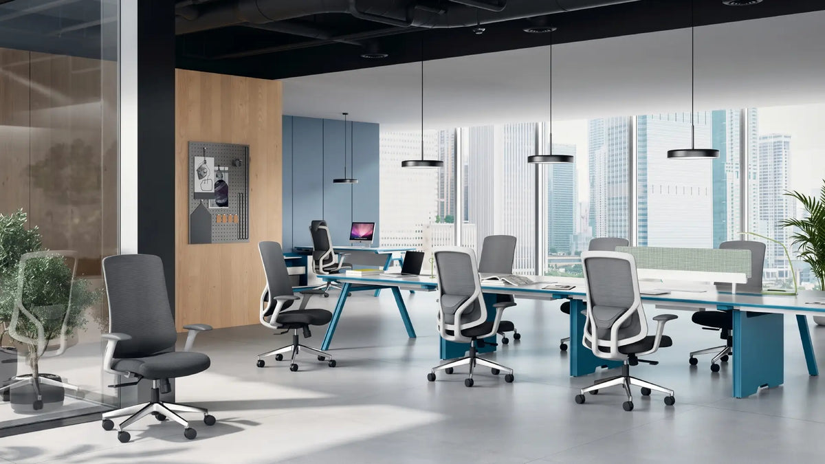 Geeco Business KANO