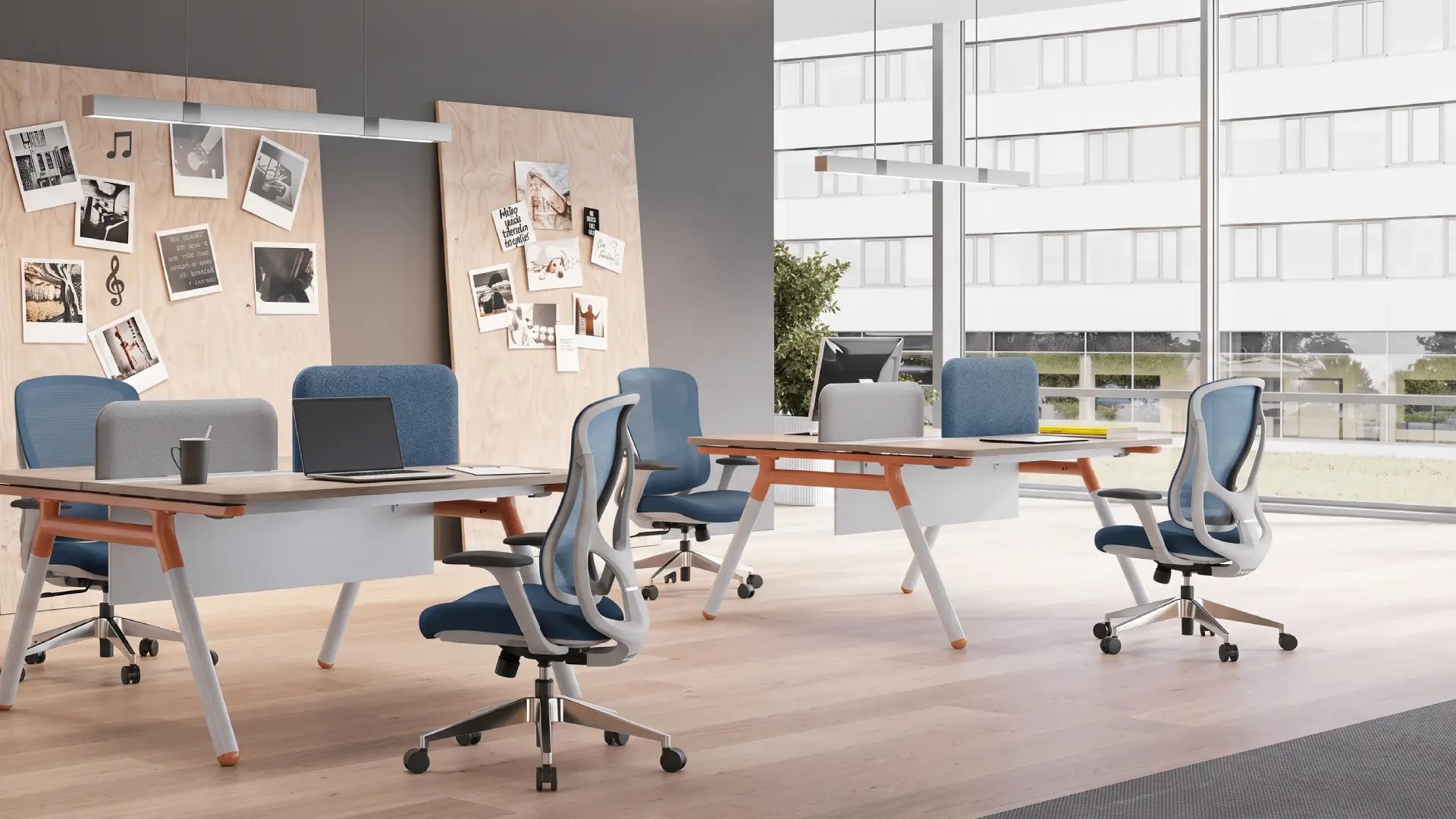 Move Pro Business KANO