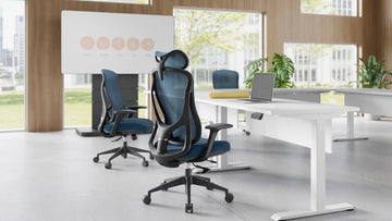 Move Pro Business KANO