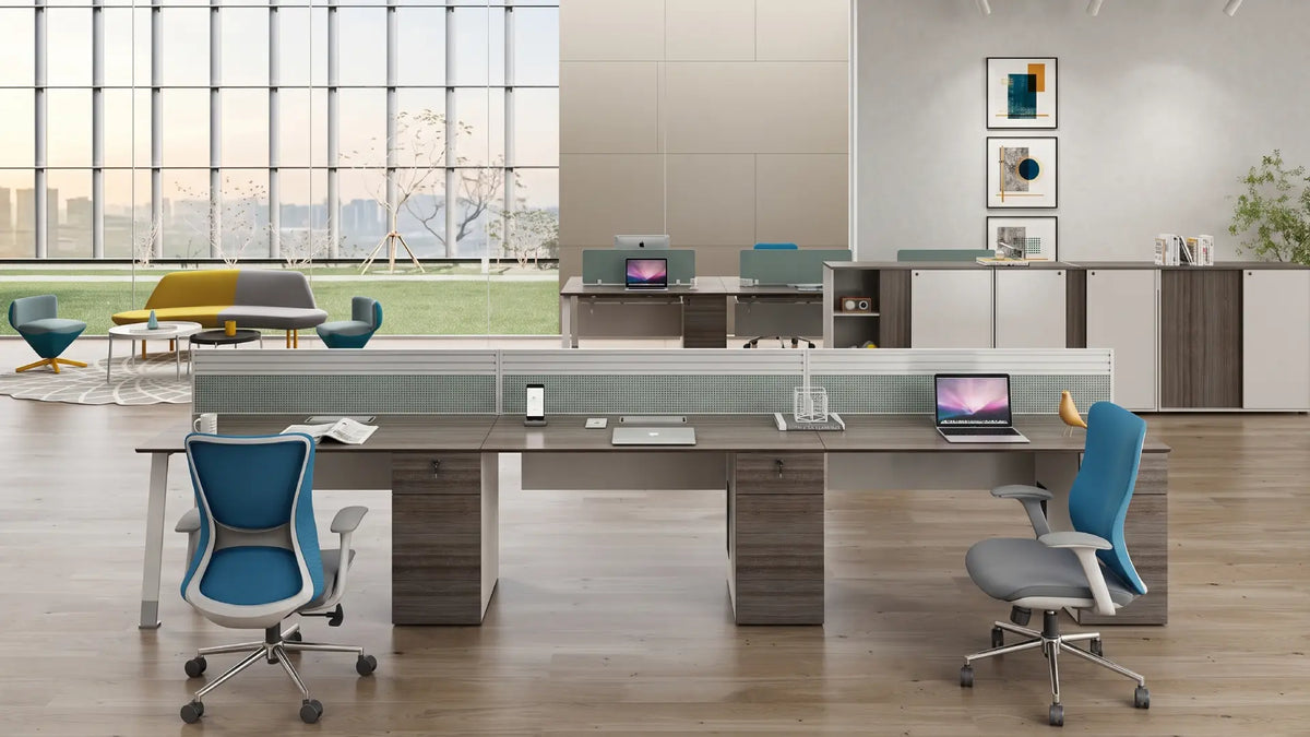 Noqi Business KANO