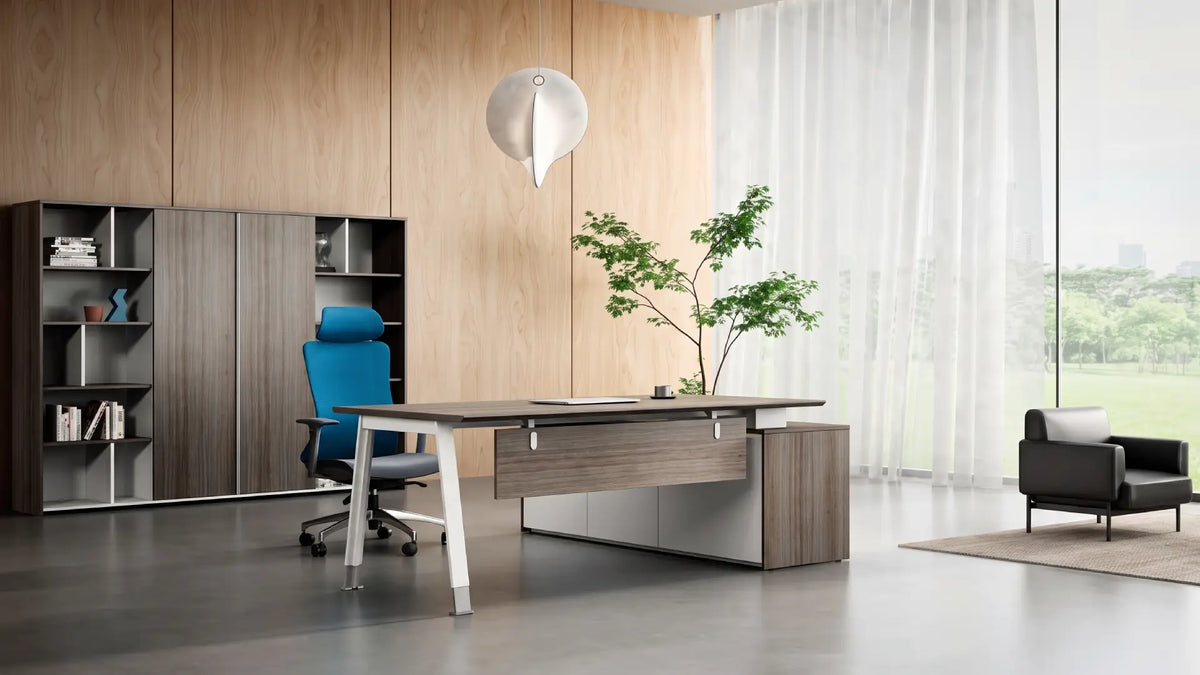 Noqi Business KANO