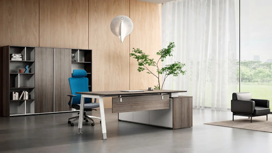 Noqi Business KANO