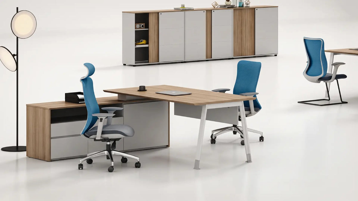 Noqi Business KANO