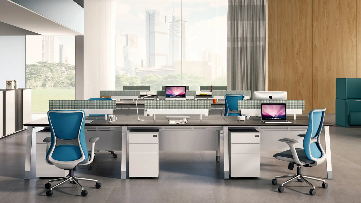 Noqi Business KANO