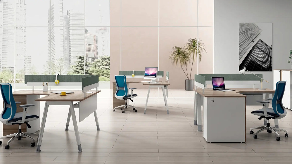 Noqi Business KANO