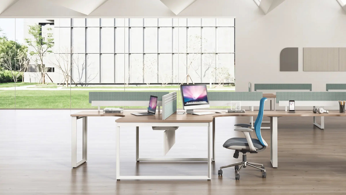 Noqi Business KANO