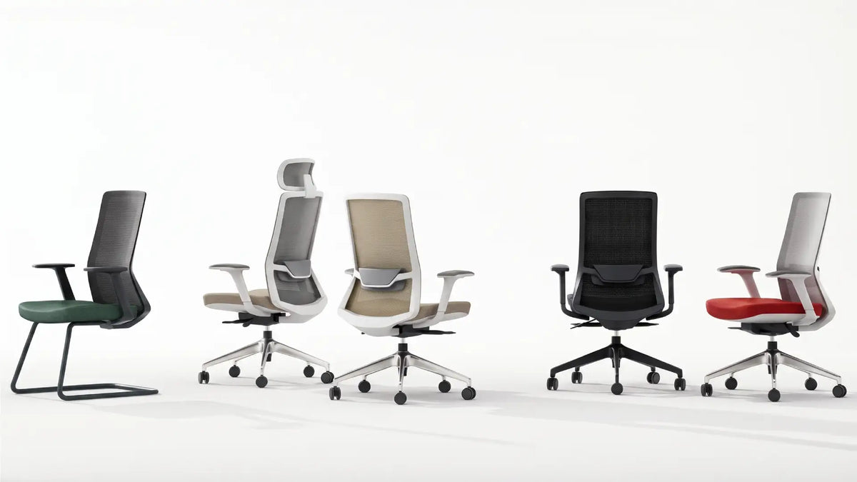 Polestar Business KANO