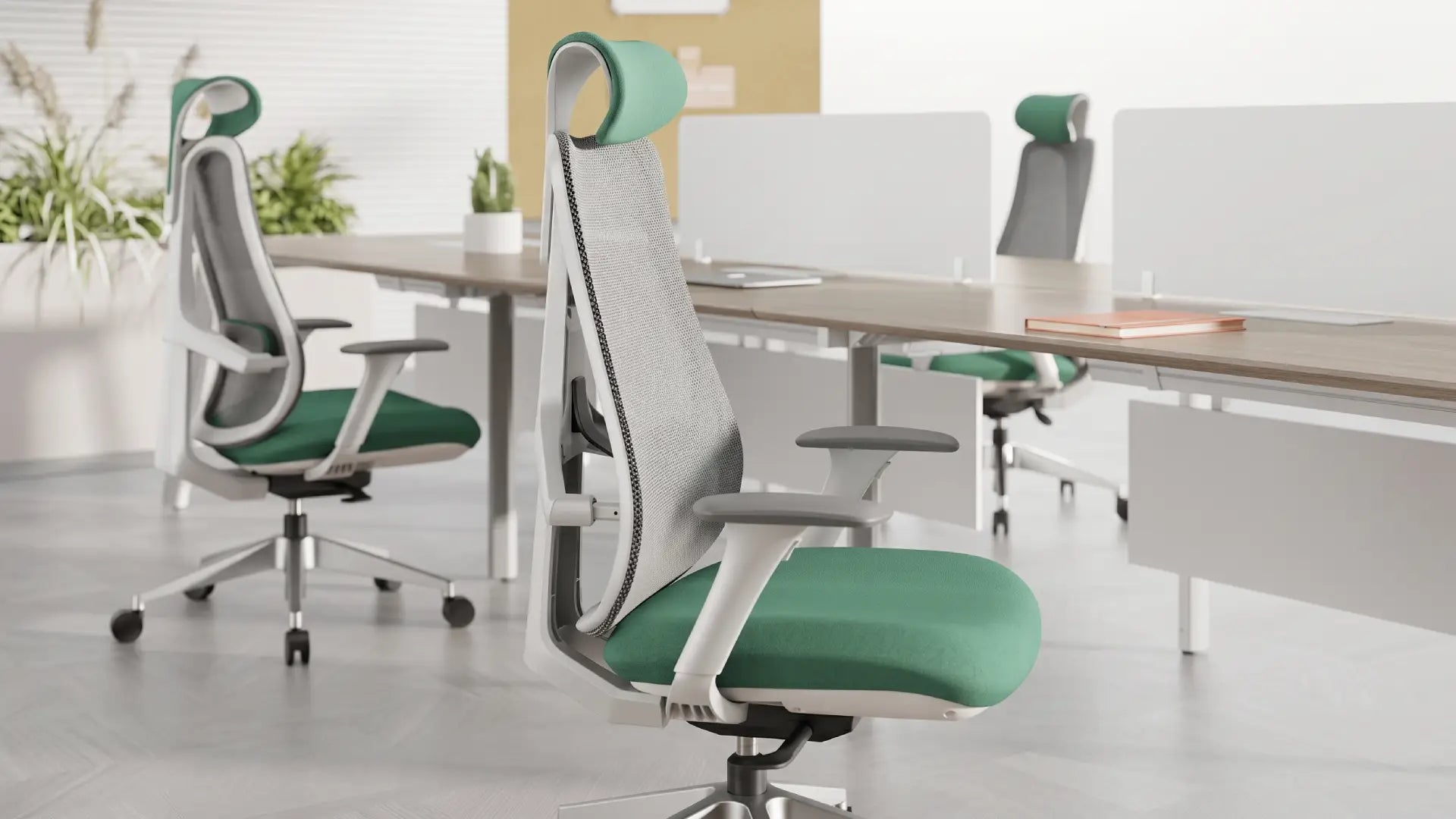 X1 Business KANO