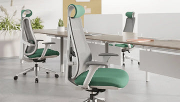 X1 Business KANO