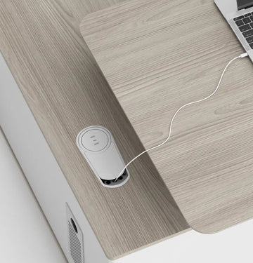 Mickey Executive Desk Consumer KANO