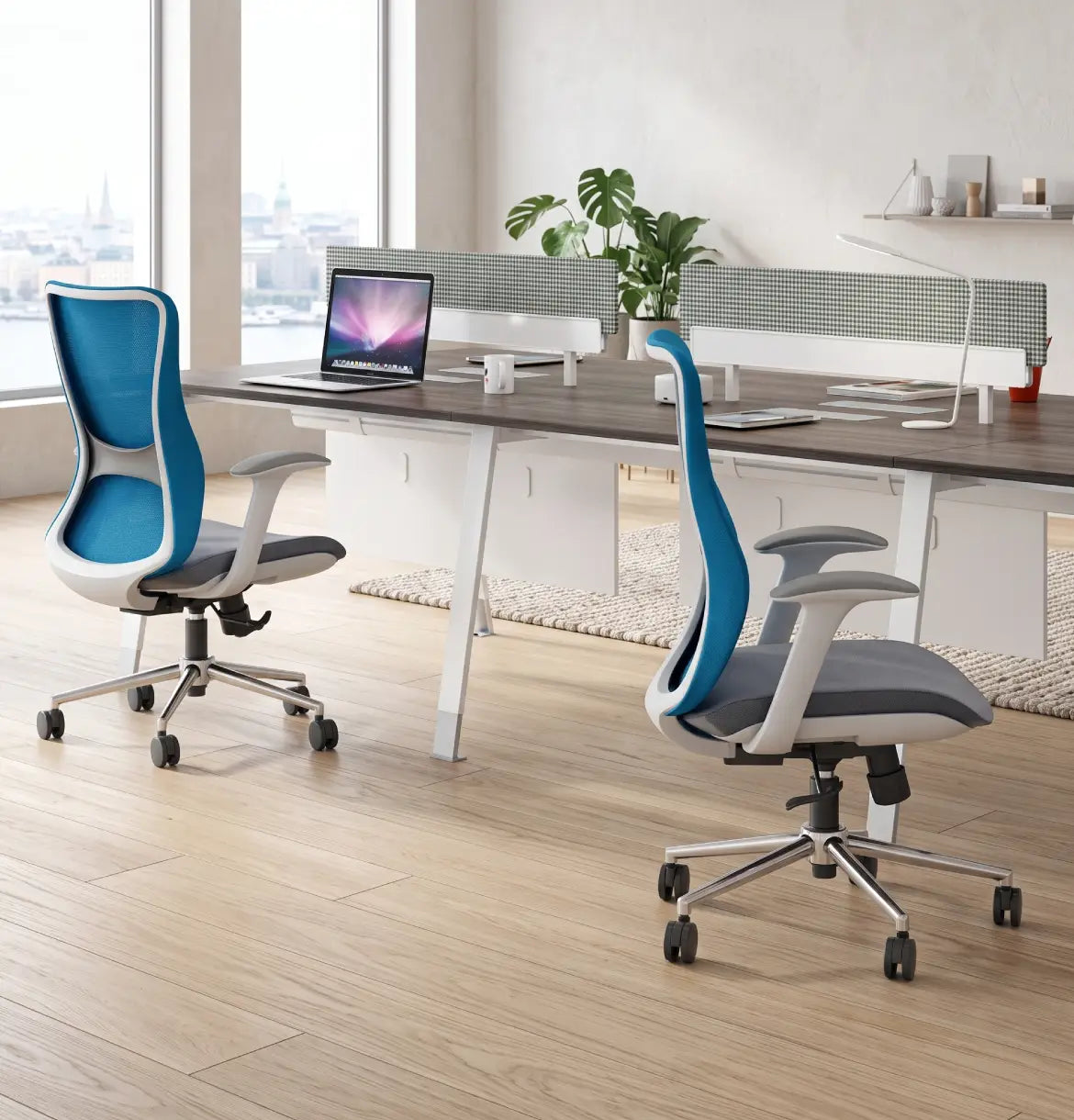Noqi "A" Cluster for 2 Desk Consumer KANO