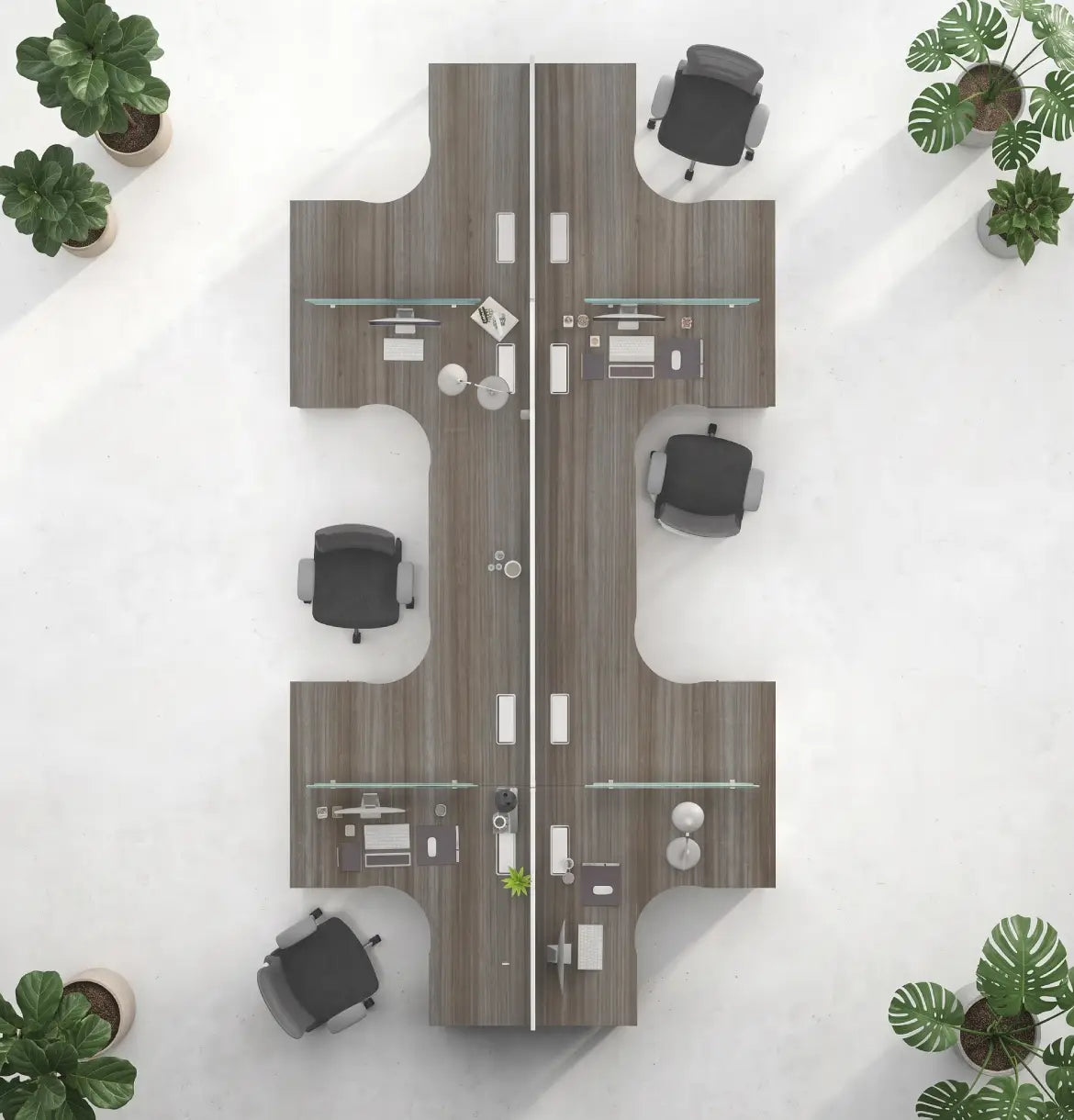 Noqi Cluster of 4 with Pedestal (3 Types) Consumer KANO
