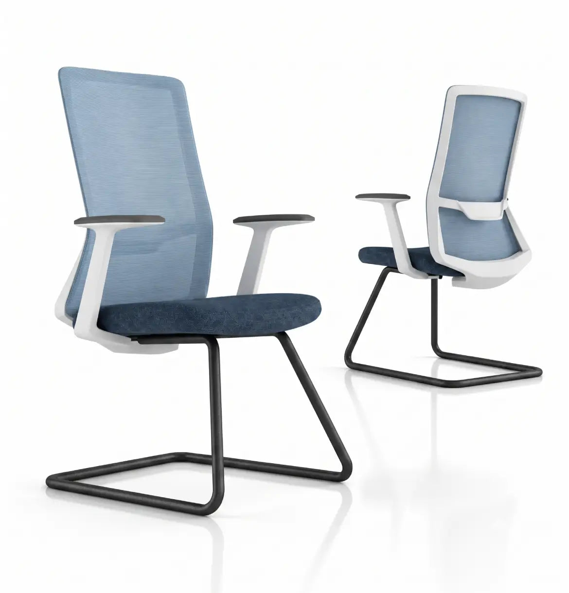 Polestar Light Visitor Consumer KANO Light Blue Black 8-10 Weeks