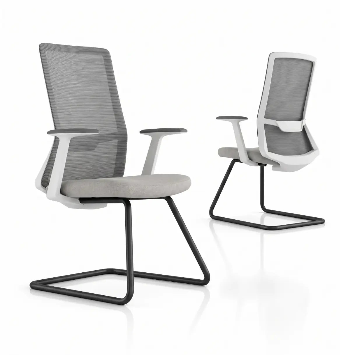 Polestar Light Visitor Consumer KANO Grey Black 8-10 Weeks