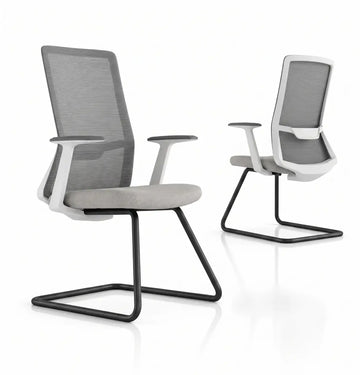 Polestar Light Visitor Consumer KANO Grey Black 8-10 Weeks