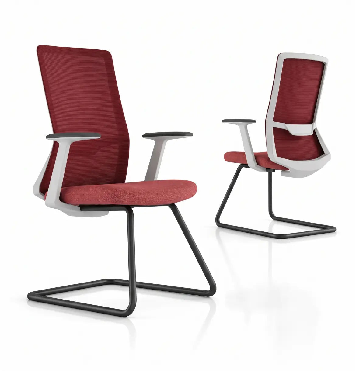 Polestar Light Visitor Consumer KANO Red Black 8-10 Weeks