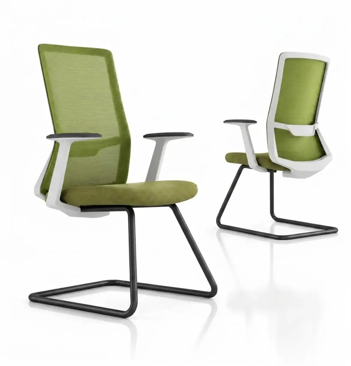 Polestar Light Visitor Consumer KANO Green Black 8-10 Weeks