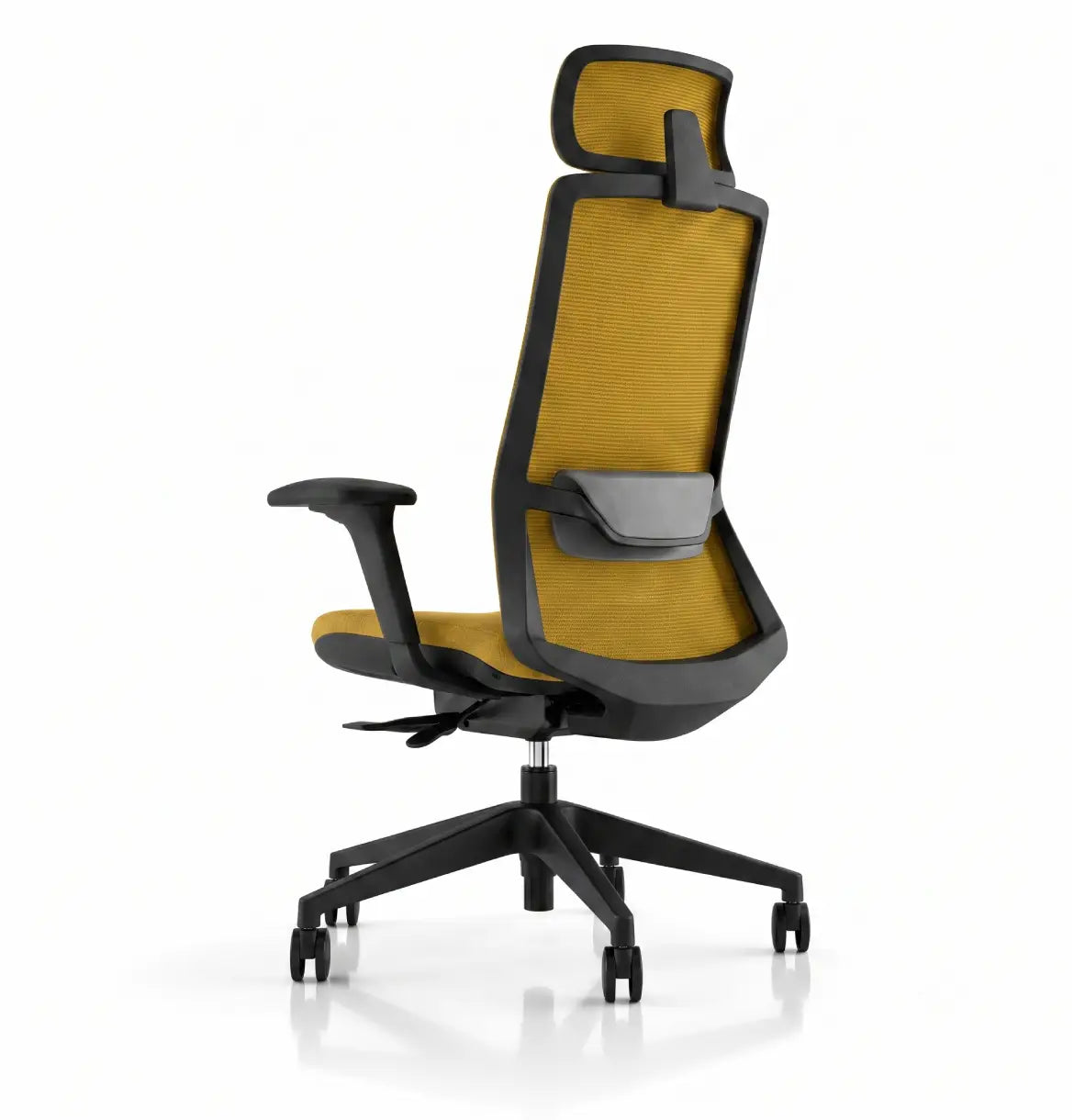 Polestar Highback Consumer KANO
