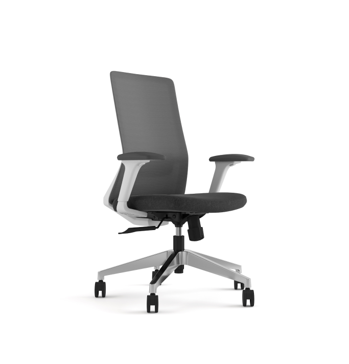 Polestar Light Midback Consumer KANO Synchro Mechanism + 1D Armrests Dark Grey 2-5 Working Days