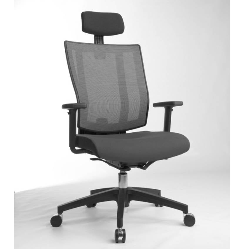 Promax with Headrest
