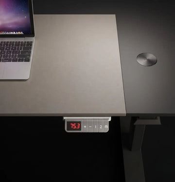 Rising Sit-Stand Executive Desk (2 Sizes) Consumer KANO