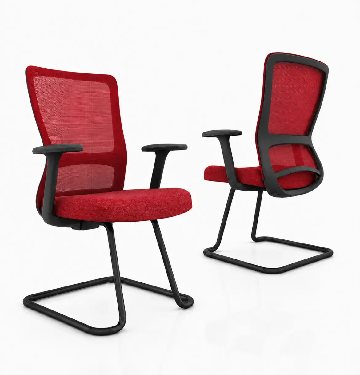 S2 Visitor Consumer KANO Red 8-10 Weeks