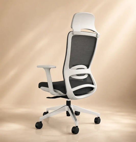 S2 Light Highback Consumer KANO   