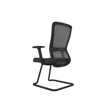 S2 Visitor Consumer KANO