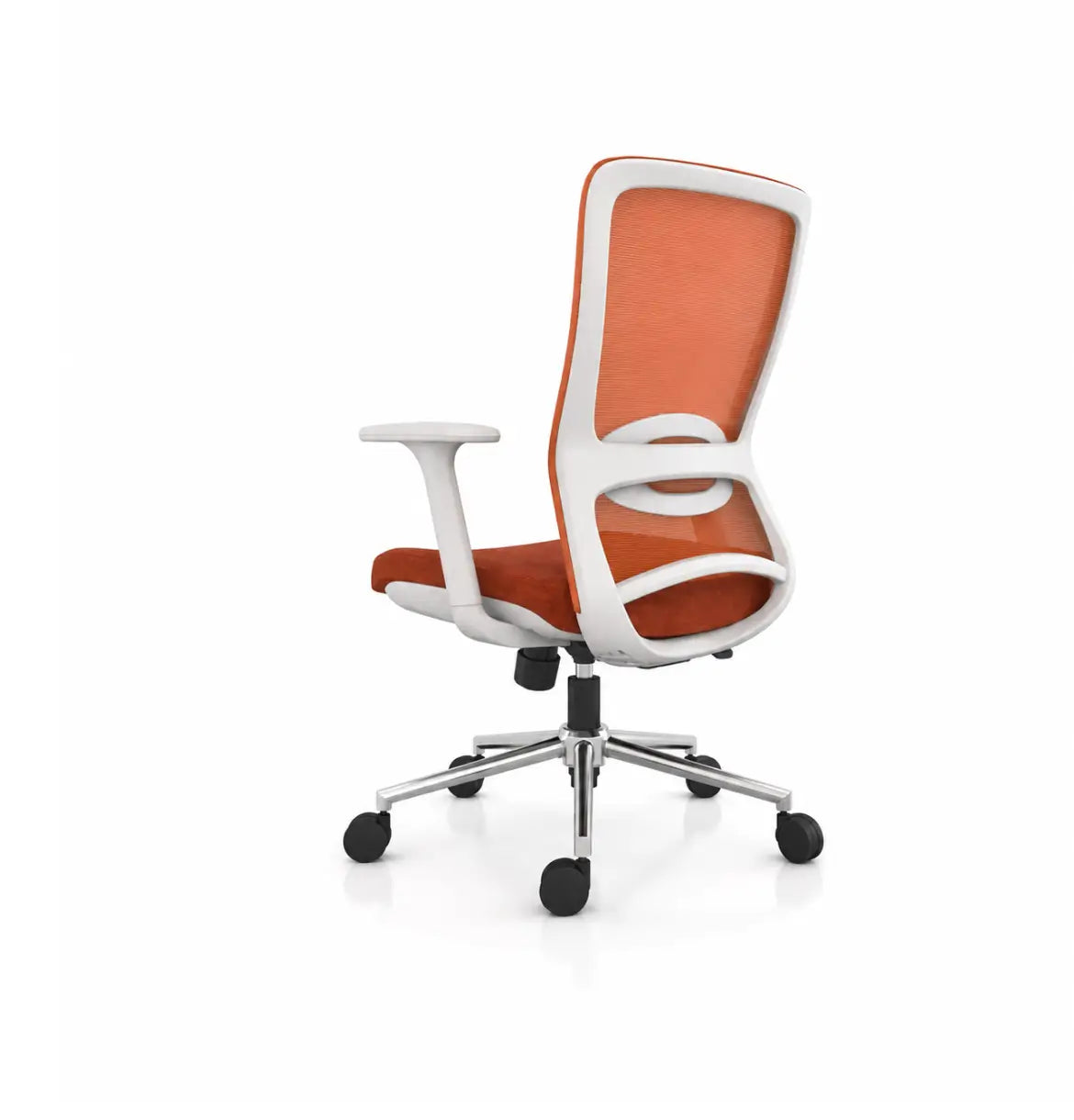 S2 Light Midback Consumer KANO Orange Advance 8-10 Weeks