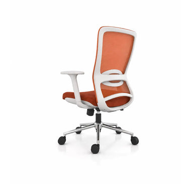 S2 Light Midback Consumer KANO Orange Advance 8-10 Weeks