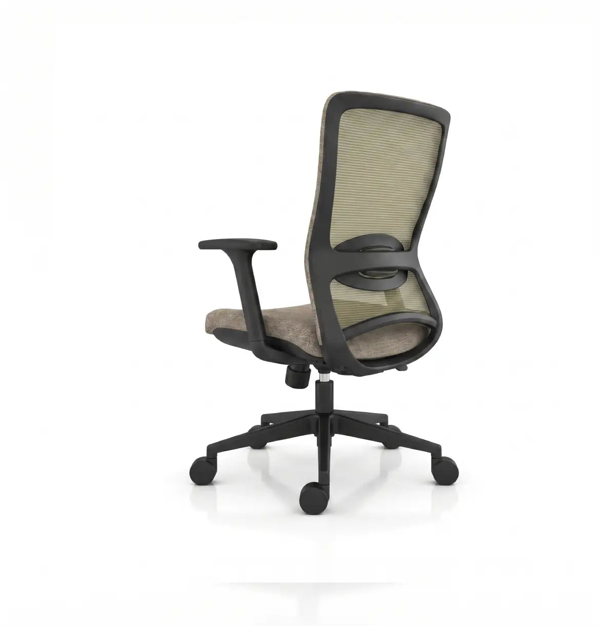 S2 Midback Consumer KANO Brown Advance 8-10 Weeks