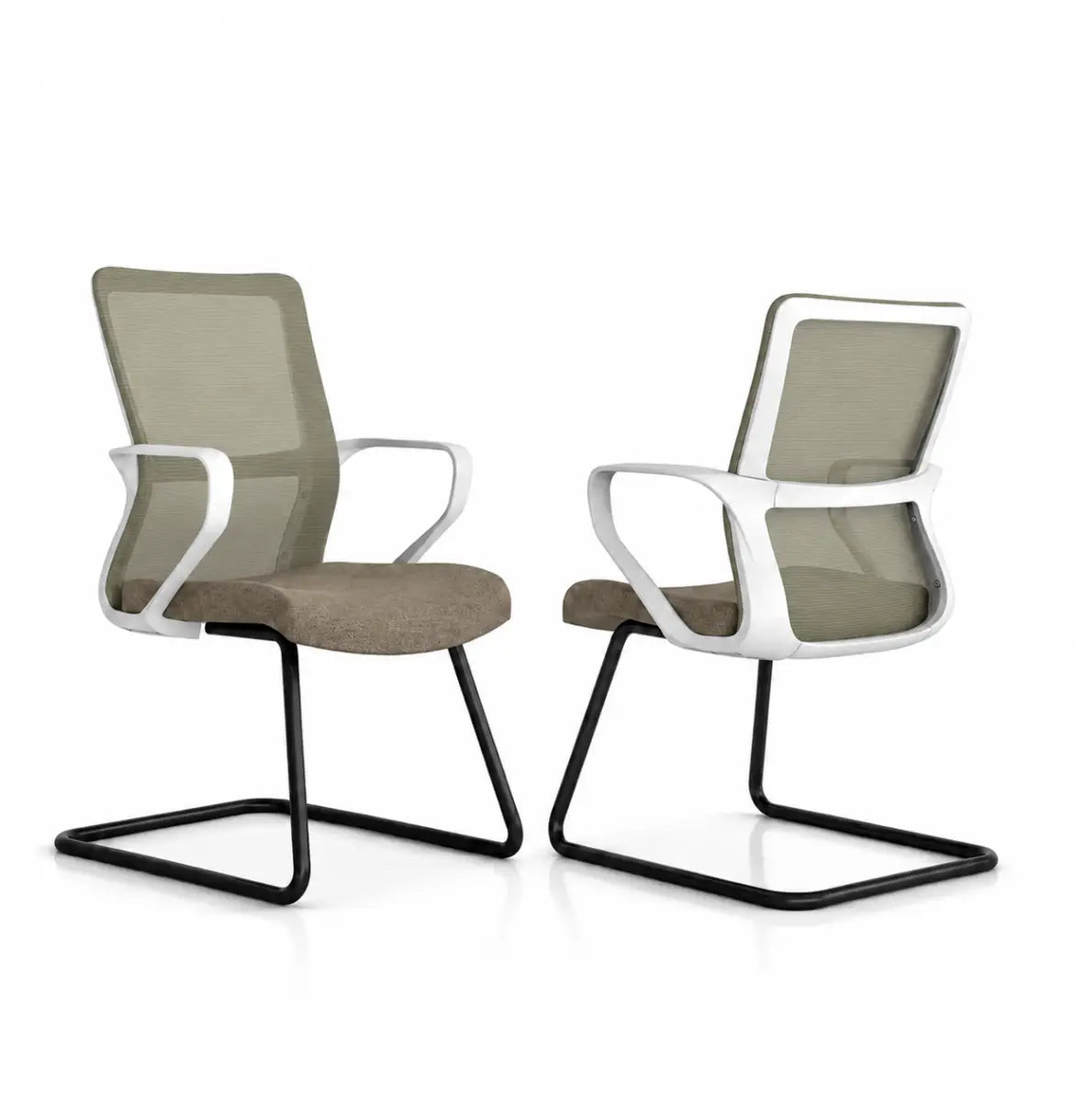 Sifan Light Visitor Consumer KANO Brown 8-10 Weeks