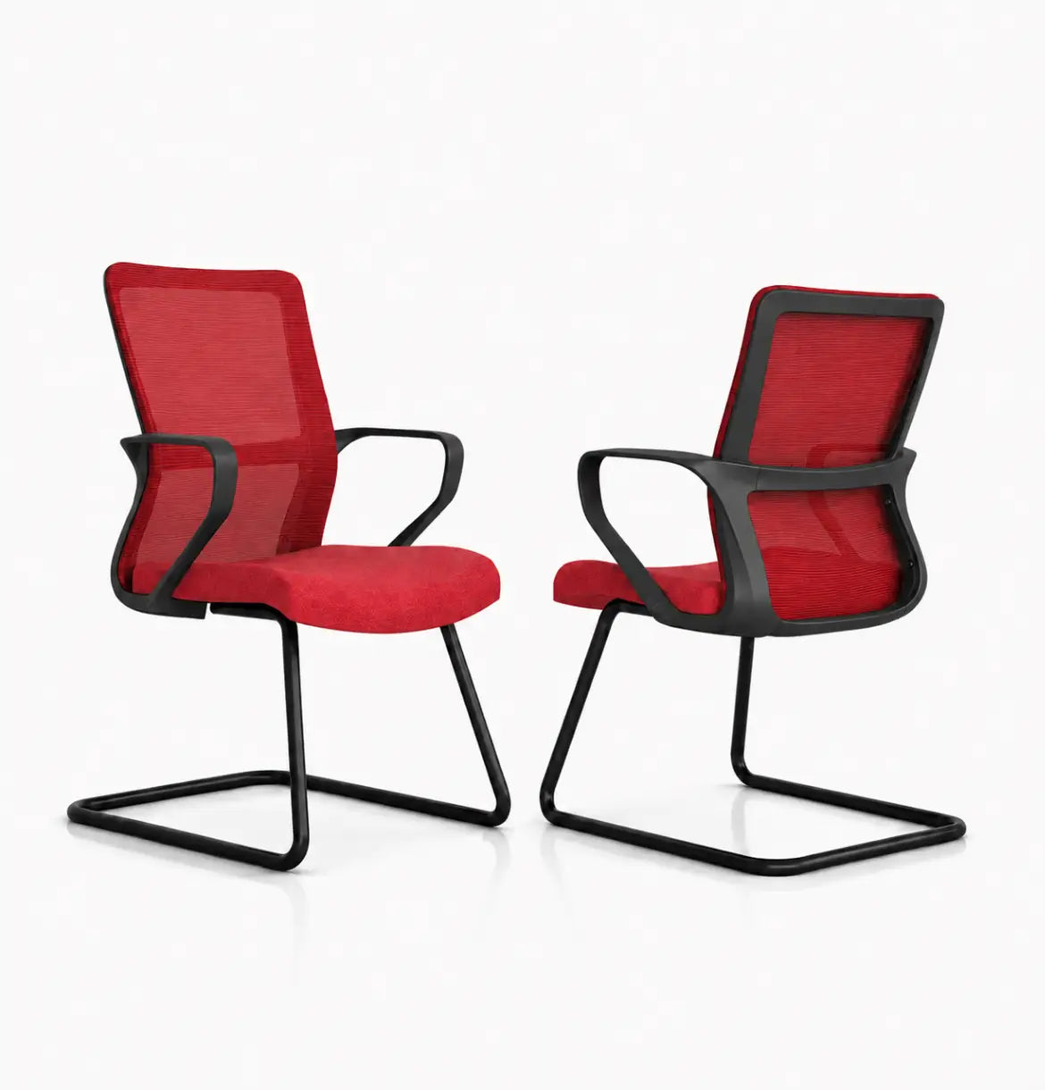 Sifan Visitor Consumer KANO Red 8-10 Weeks