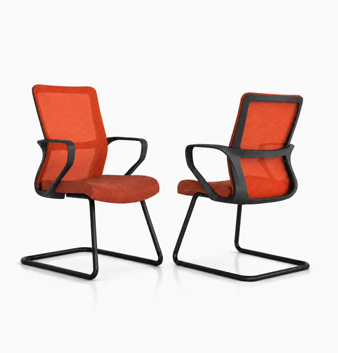 Sifan Visitor Consumer KANO Orange 8-10 Weeks
