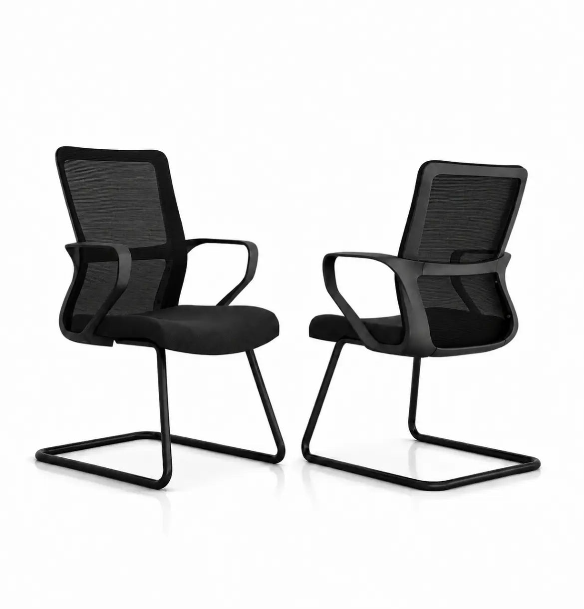 Sifan Visitor Consumer KANO Black 8-10 Weeks