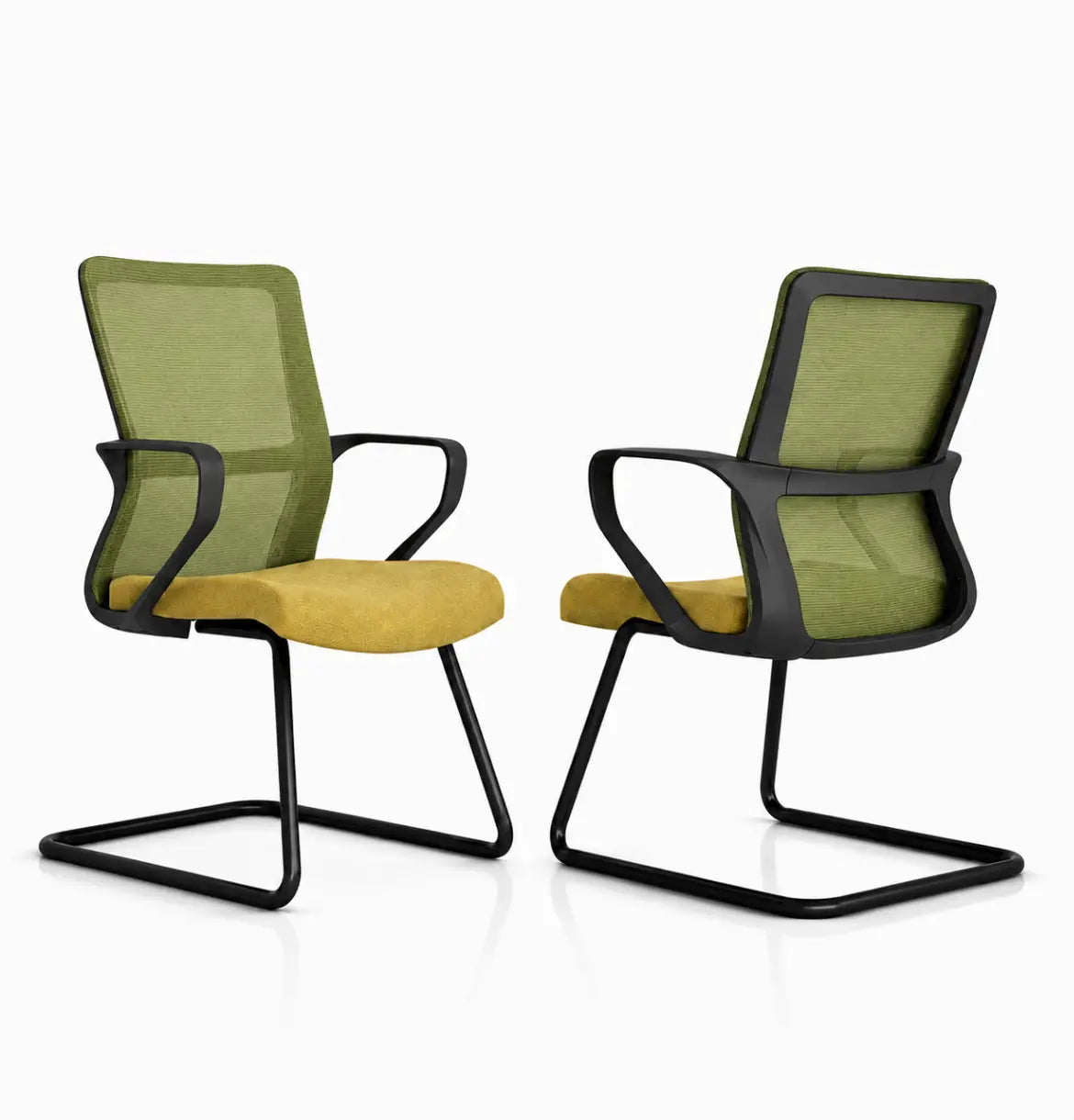 Sifan Visitor Consumer KANO Green 8-10 Weeks