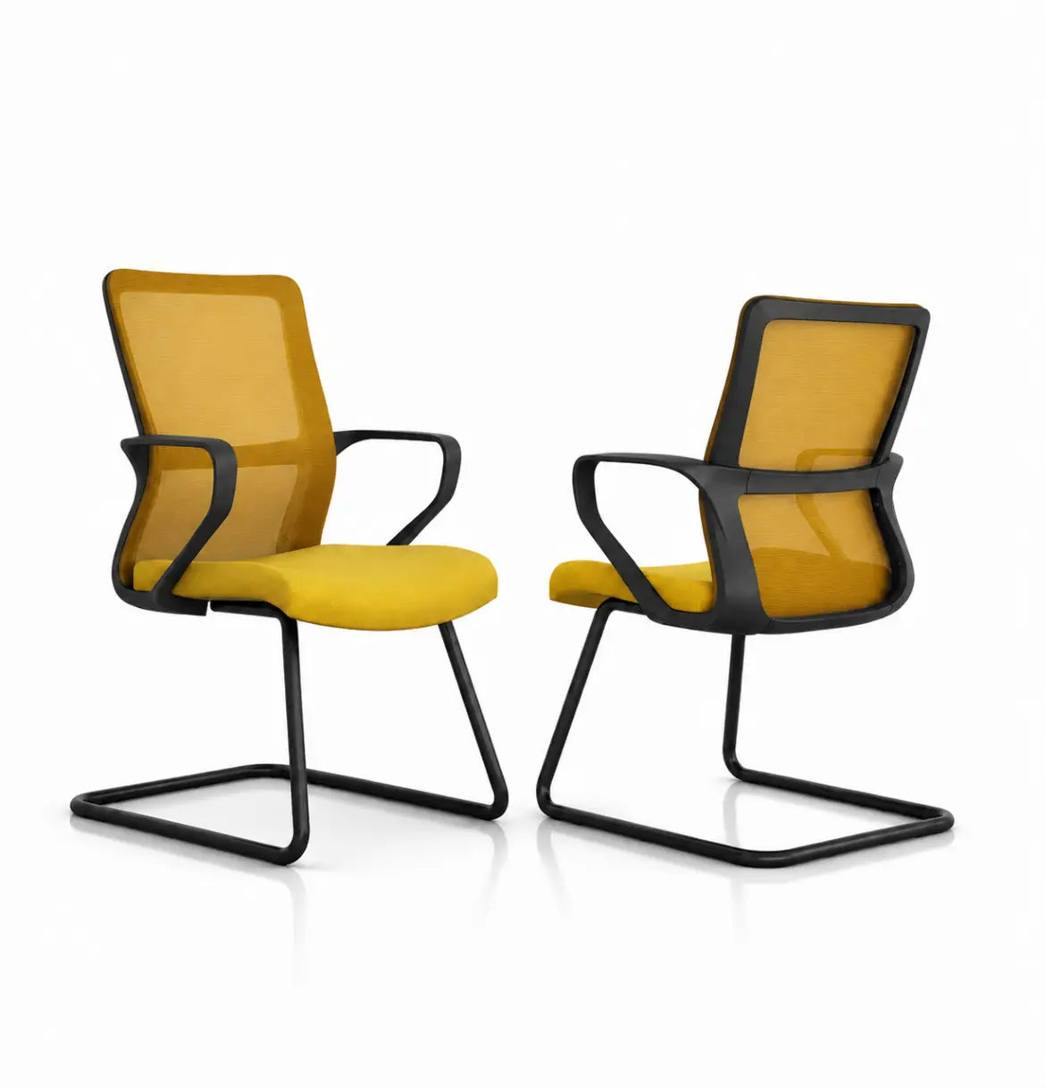 Sifan Visitor Consumer KANO Yellow 8-10 Weeks