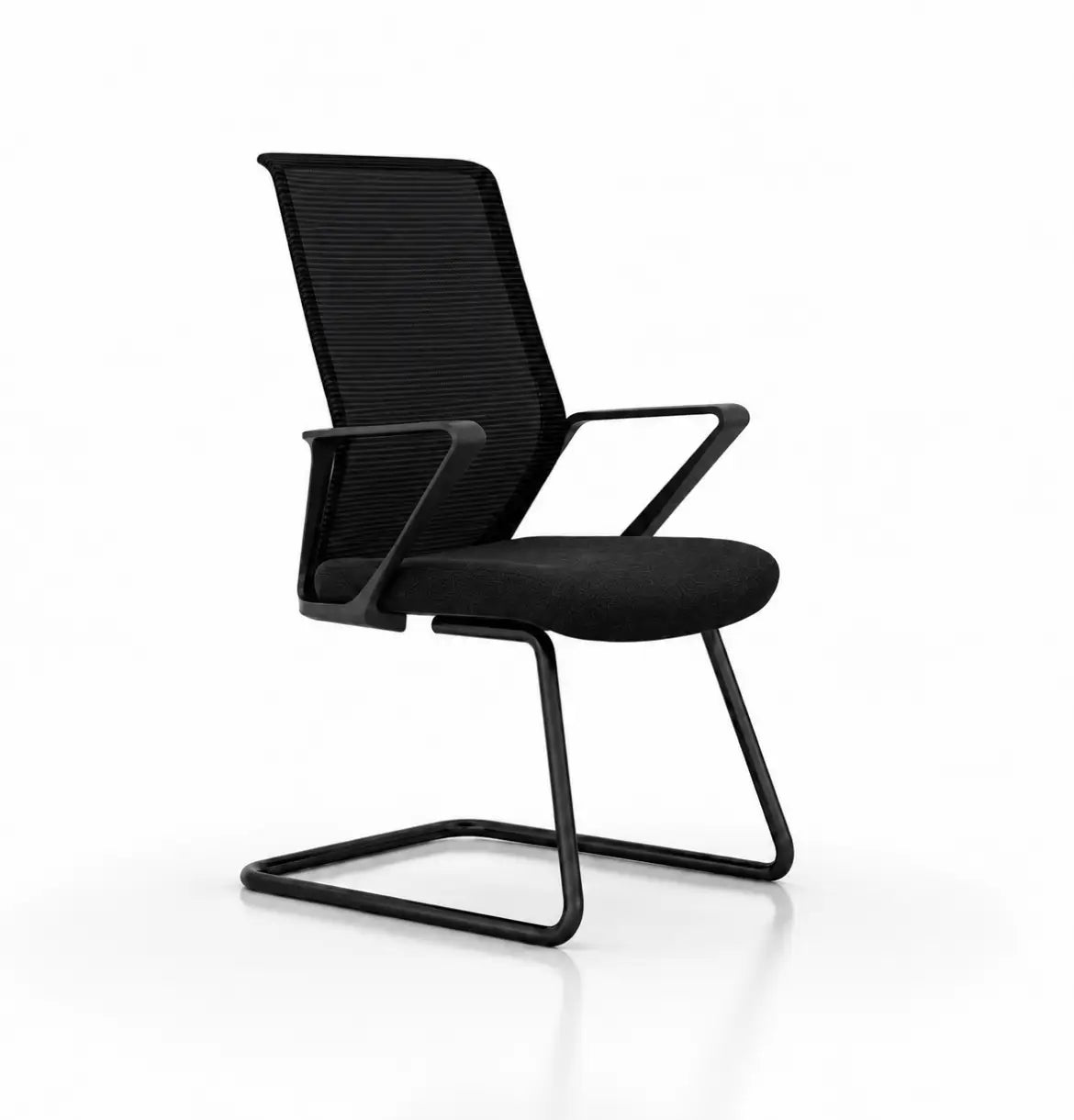 Situ Visitor Consumer KANO Black 8-10 Weeks