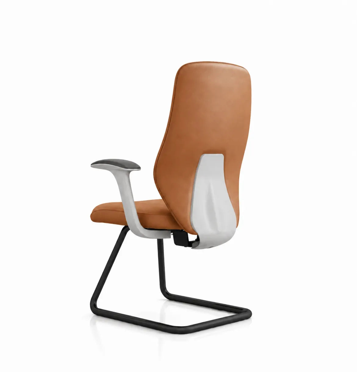 Starmy Light Visitor Consumer KANO Tan Black Base 8-10 Weeks