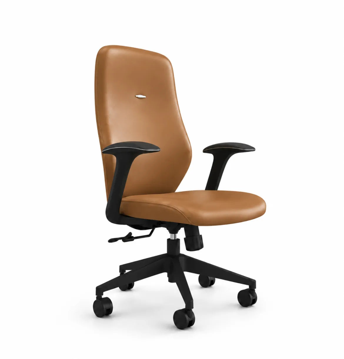 Starmy Midback Consumer KANO Tan 8-10 Weeks