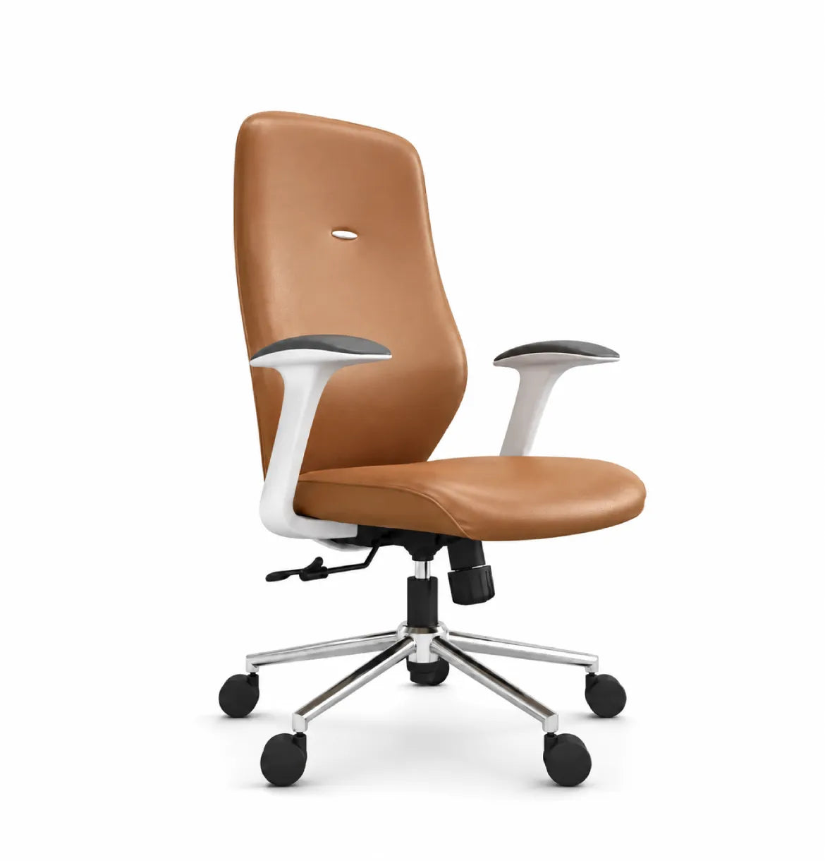 Starmy Light Midback Consumer KANO Tan 8-10 Weeks