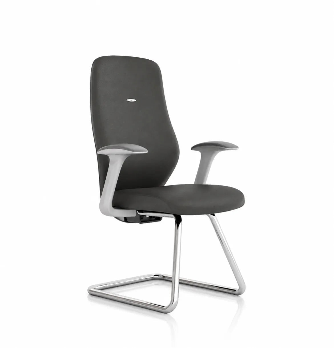 Starmy Light Visitor Consumer KANO Grey Chrome Base 8-10 Weeks